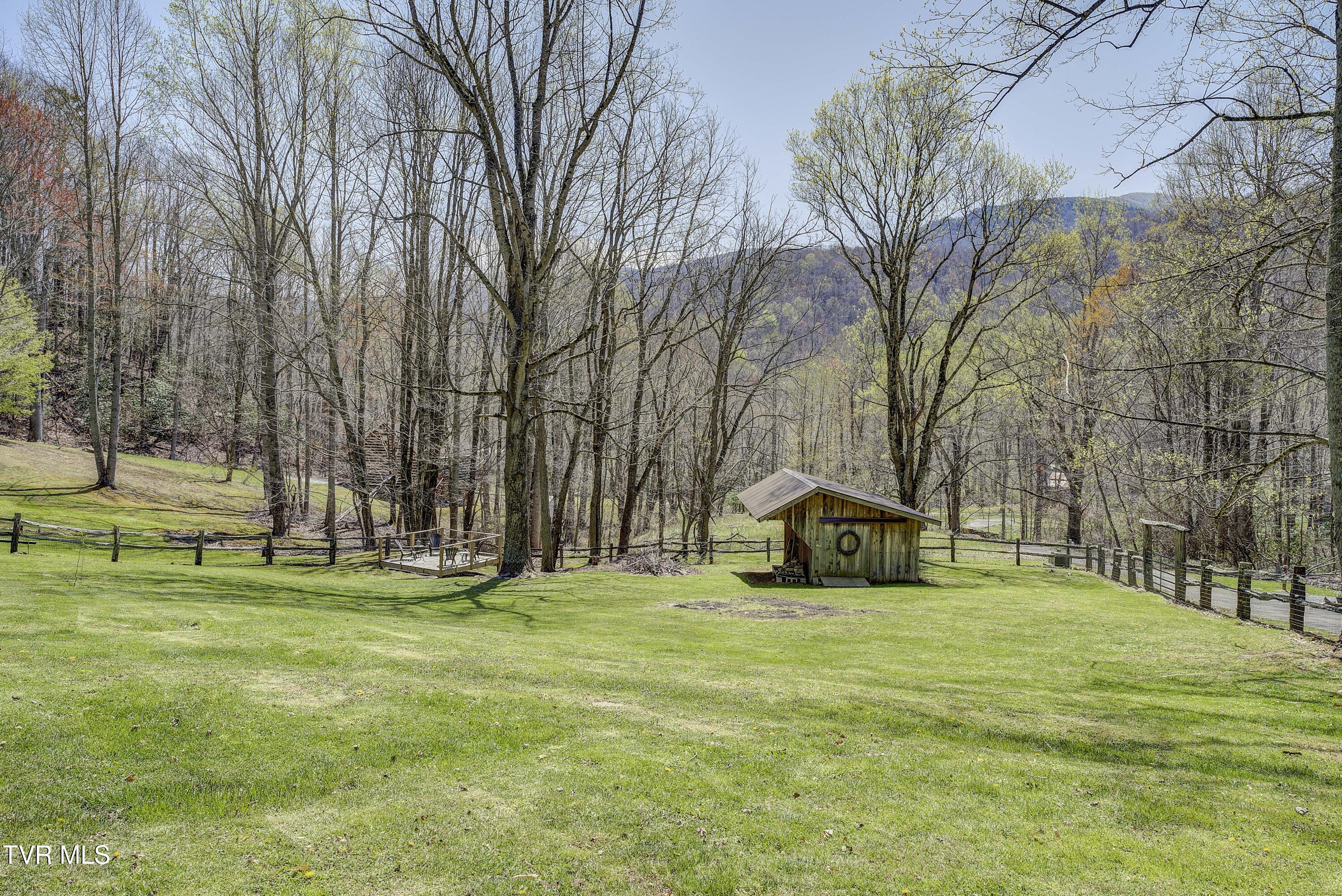 223 Black Bear Ridge, Roan Mountain, Tennessee image 49
