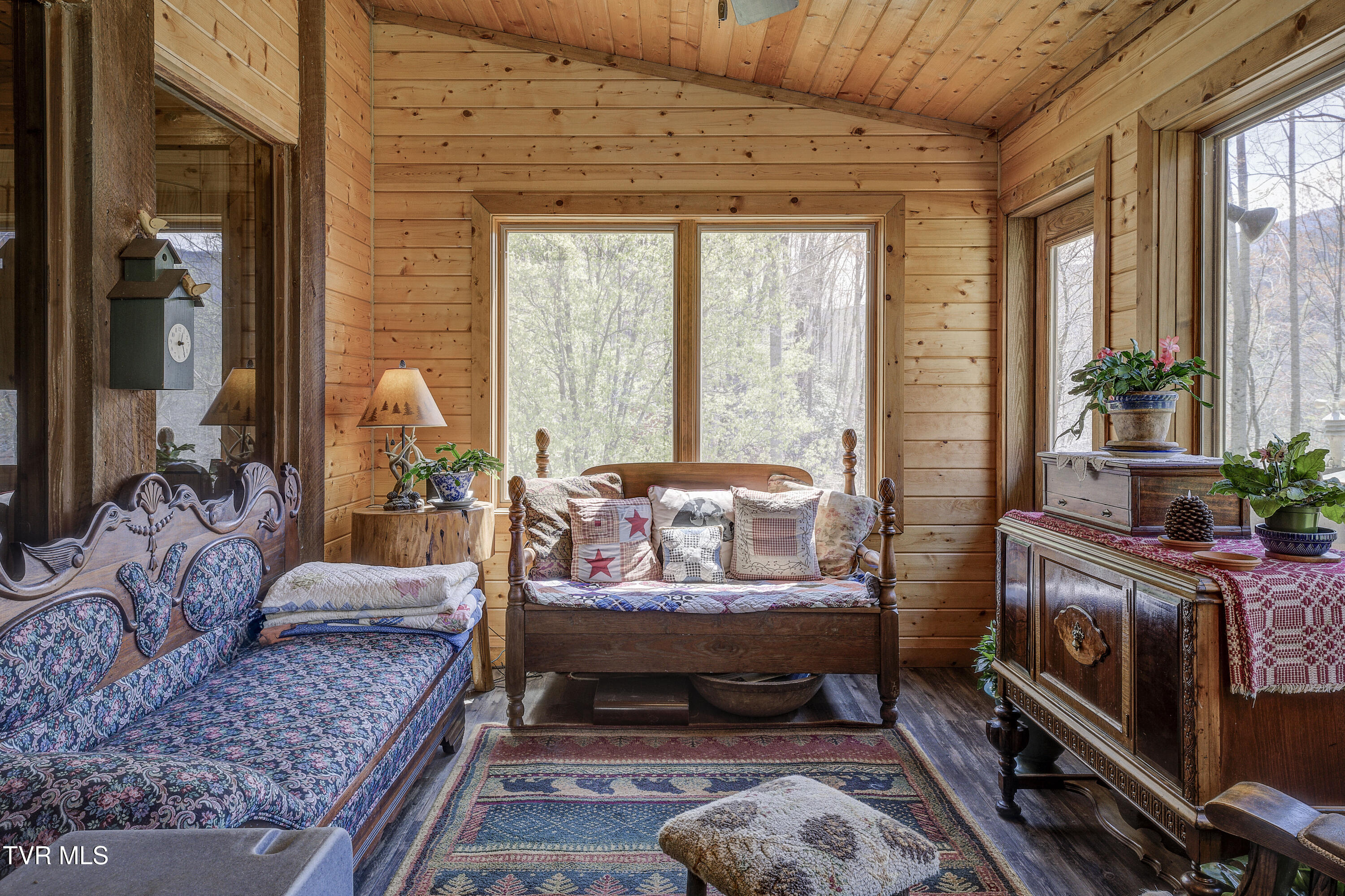 223 Black Bear Ridge, Roan Mountain, Tennessee image 28