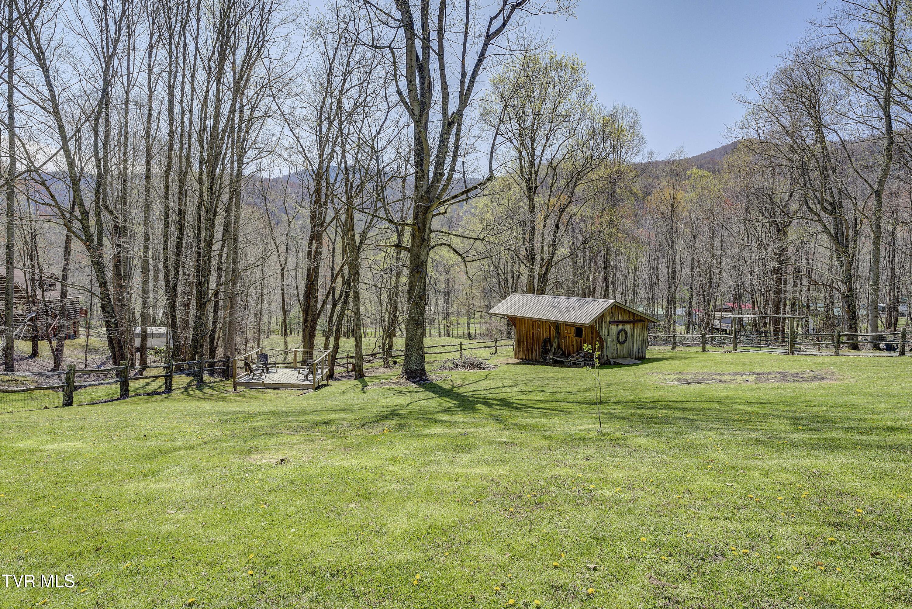 223 Black Bear Ridge, Roan Mountain, Tennessee image 46