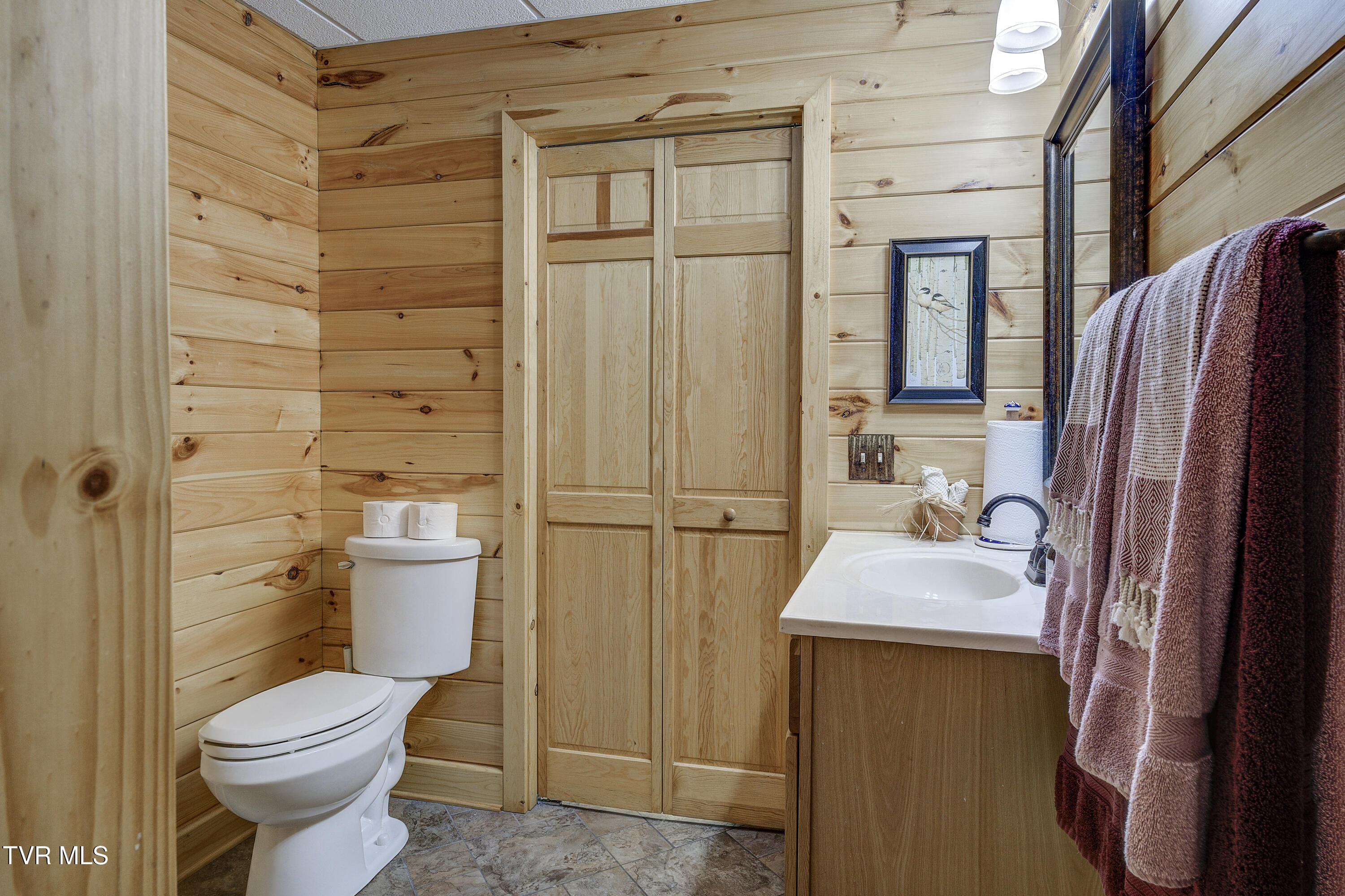 223 Black Bear Ridge, Roan Mountain, Tennessee image 37