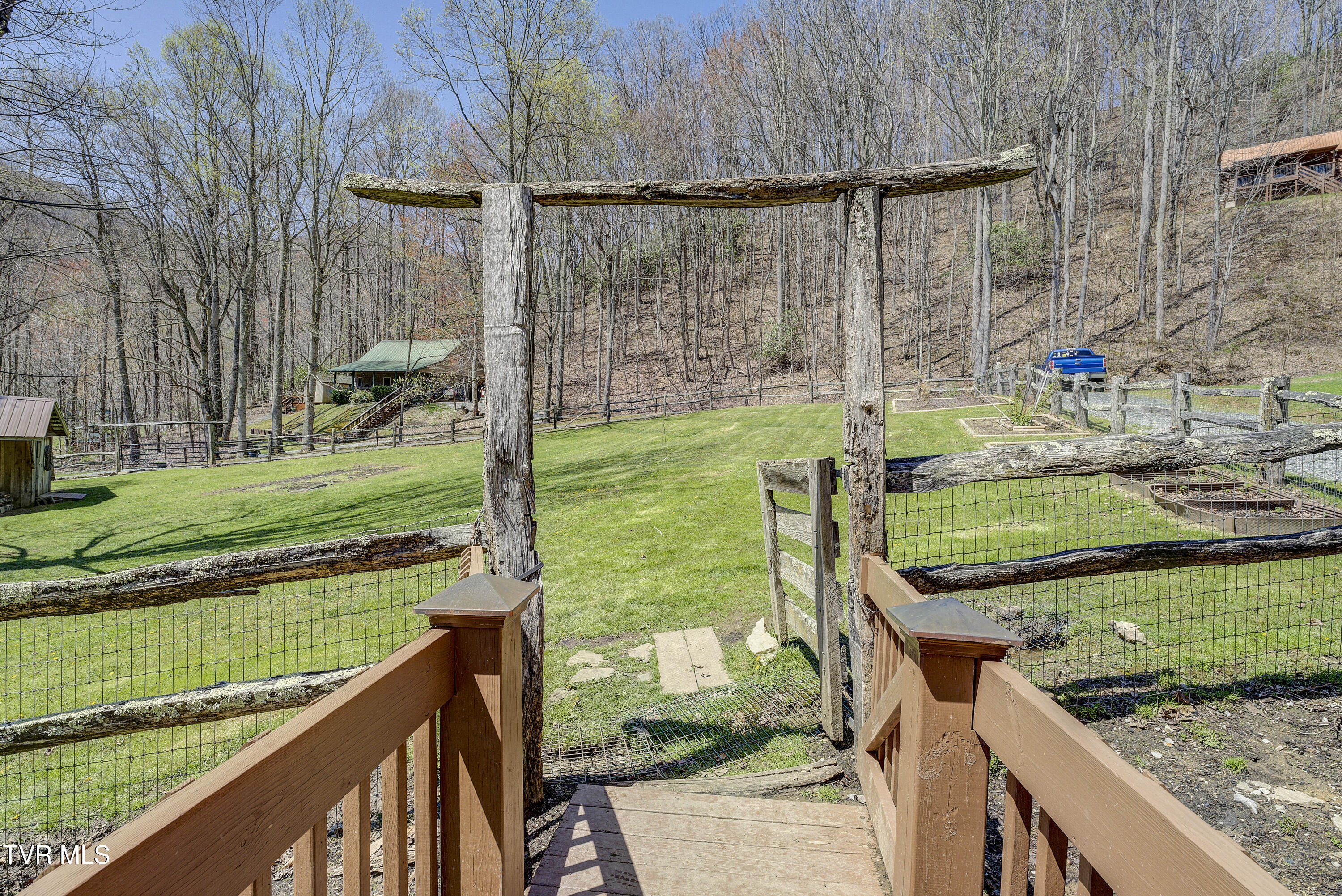223 Black Bear Ridge, Roan Mountain, Tennessee image 43