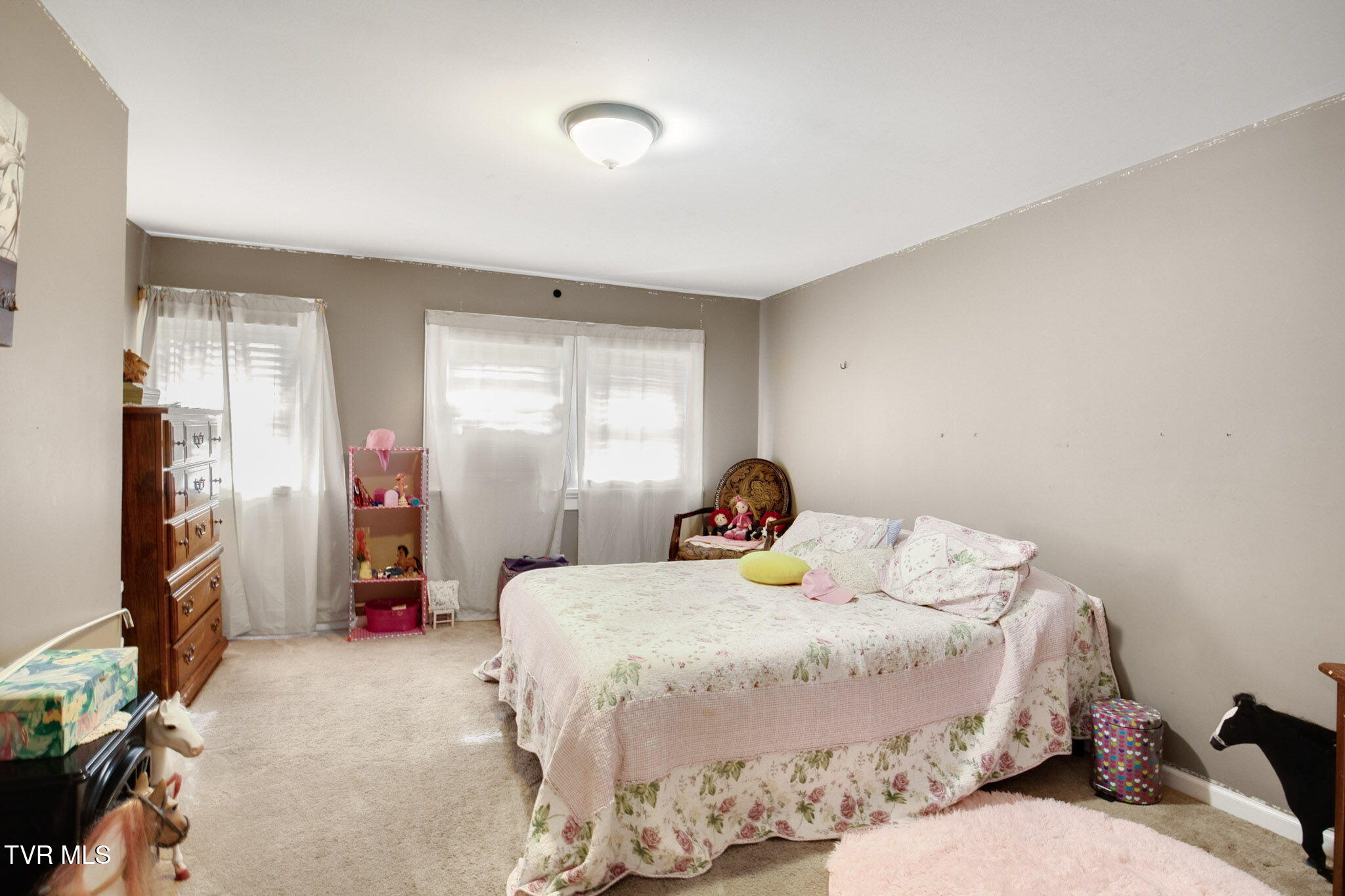 311 Roan Street, Elizabethton, Tennessee image 26