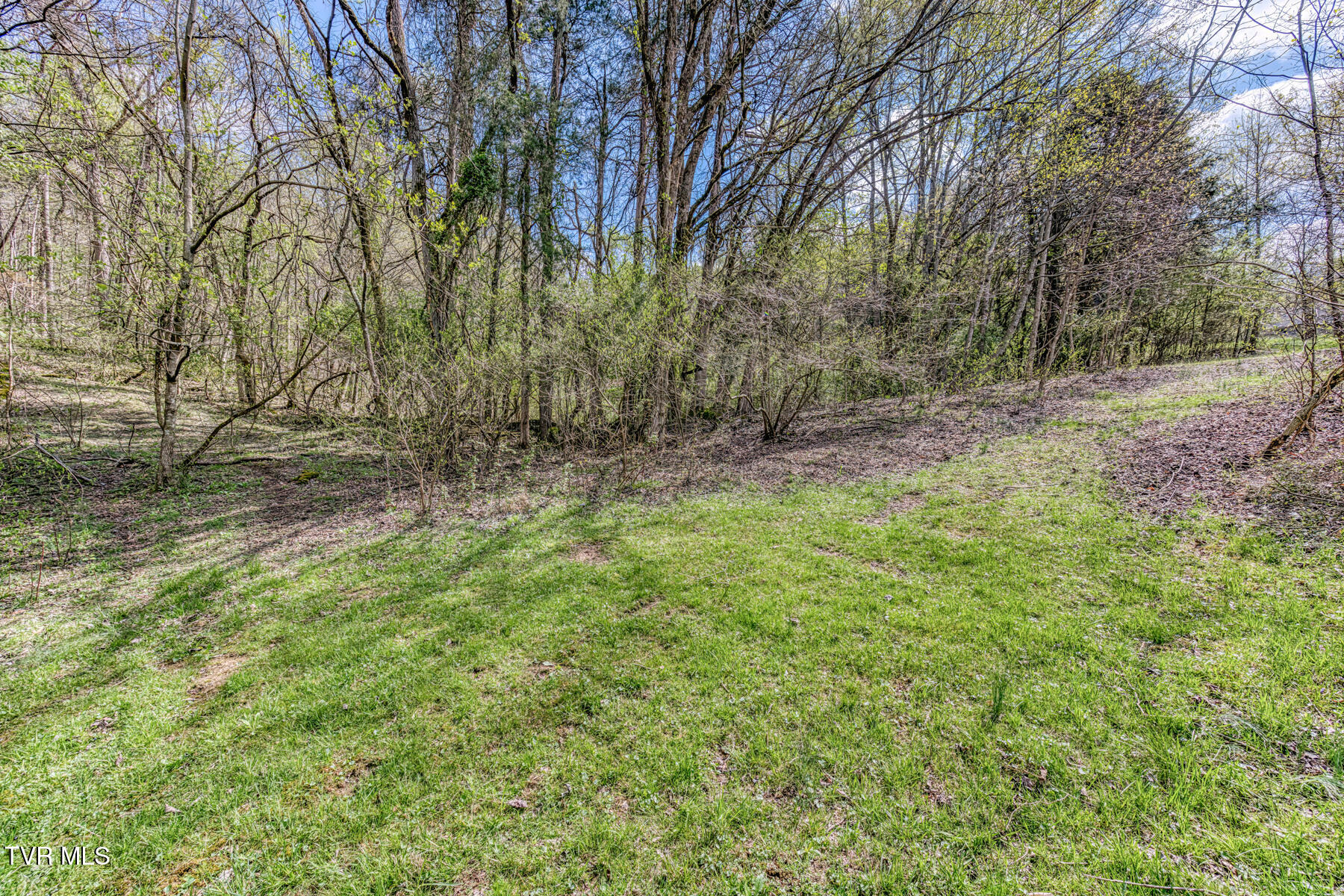 2436 Duncans Retreat Drive, Johnson City, Tennessee image 14