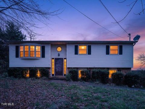 Photo of 529 Old Gray Station Road, Gray, TN 37615 (MLS # 9992118)