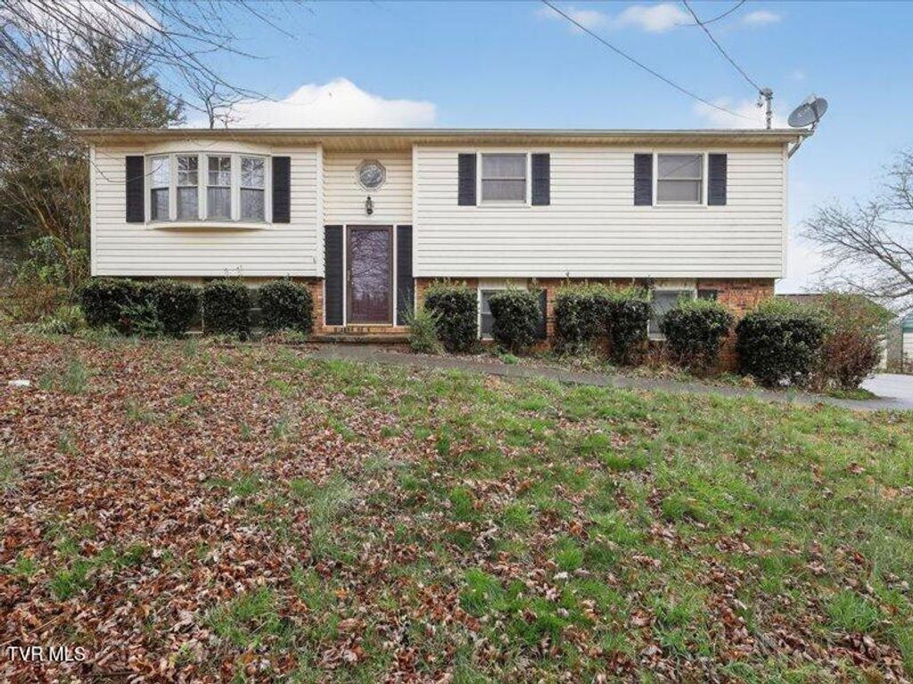 Photo of 529 Old Gray Station Road, Gray, TN 37615 (MLS # 9992118)