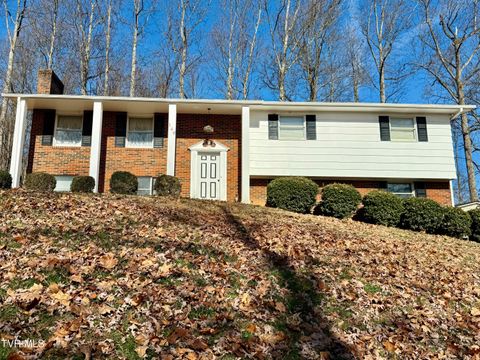 Photo of 148 Whitehills Road, Kingsport, TN 37660 (MLS # 9993078)