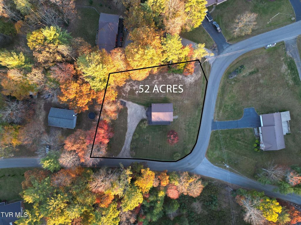 Photo of 353 Hemlock Street, Mountain City, TN 37683 (MLS # 9987765)