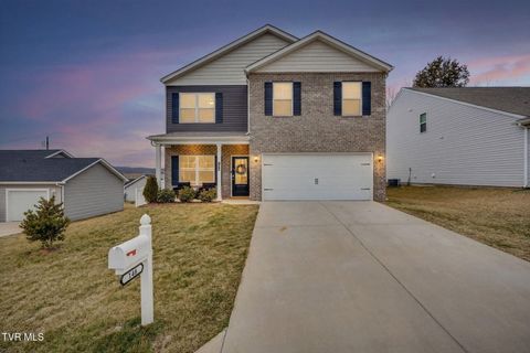 Photo of 146 Thistle Drive, Bluff City, TN 37618 (MLS # 9991408)