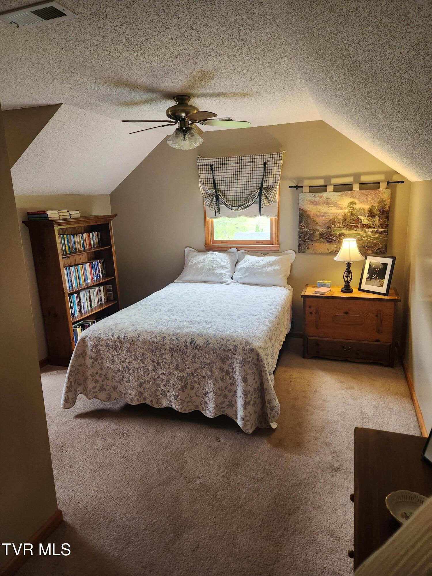 107 Buckner Drive, Roan Mountain, Tennessee image 17