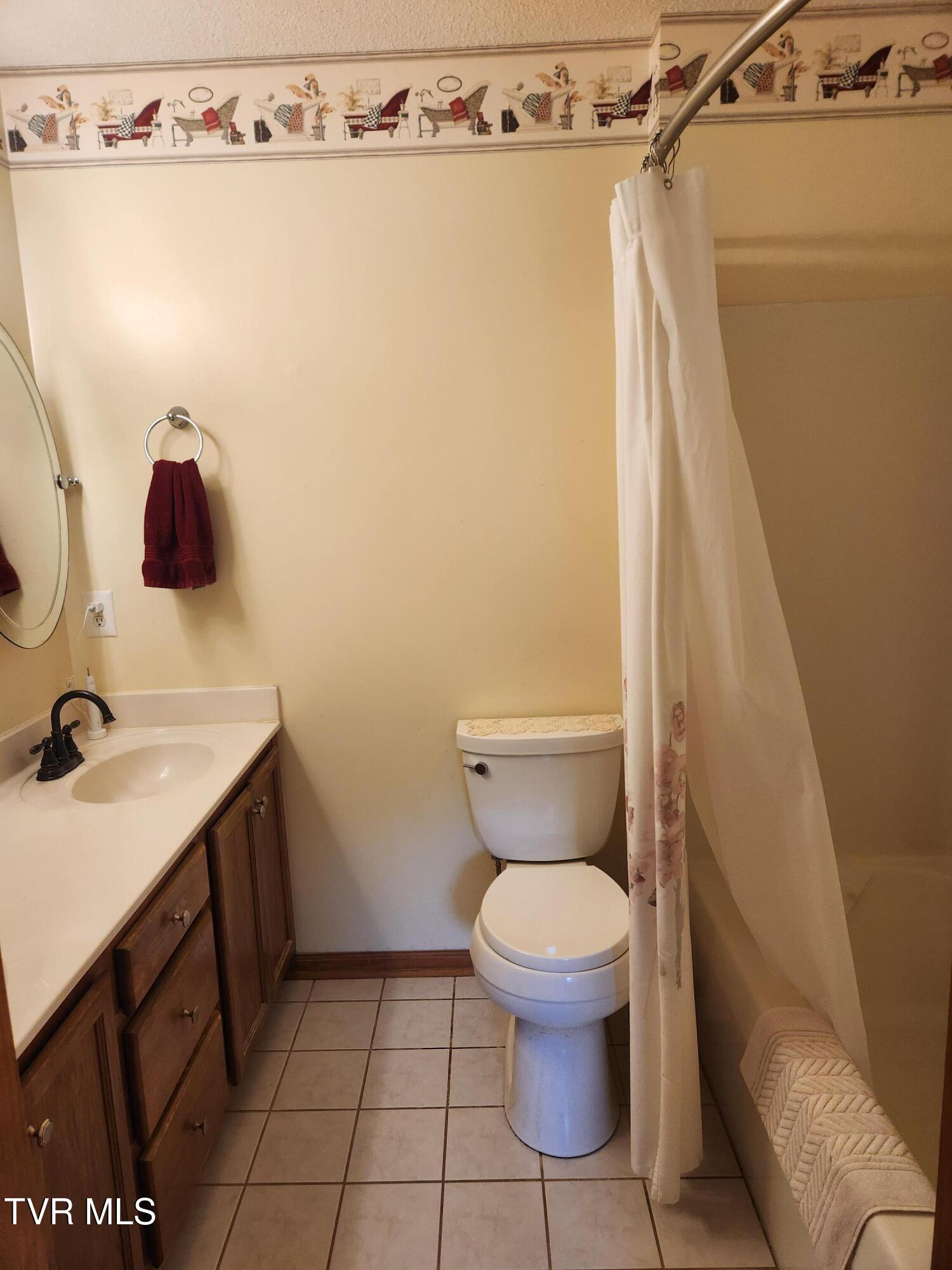 107 Buckner Drive, Roan Mountain, Tennessee image 13