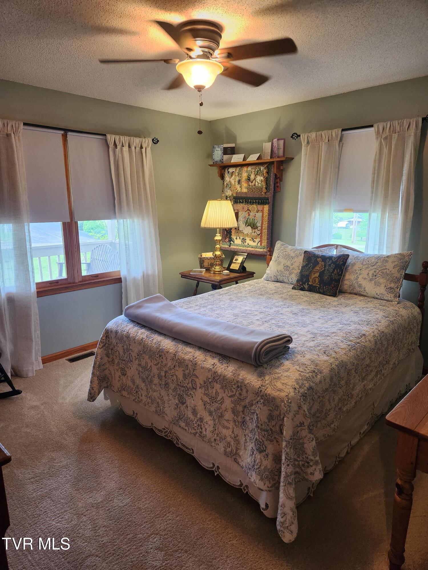 107 Buckner Drive, Roan Mountain, Tennessee image 11