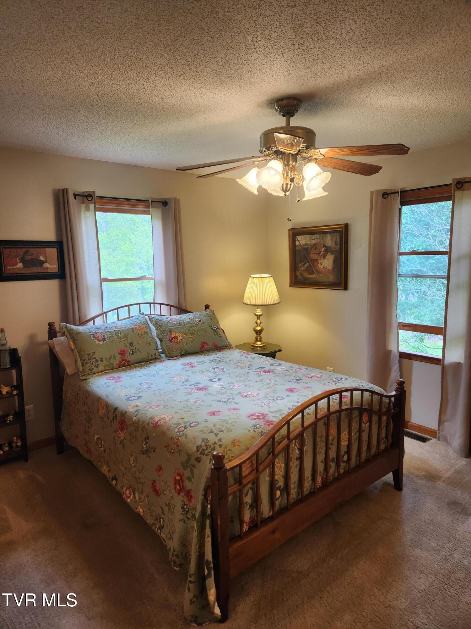 107 Buckner Drive, Roan Mountain, Tennessee image 12