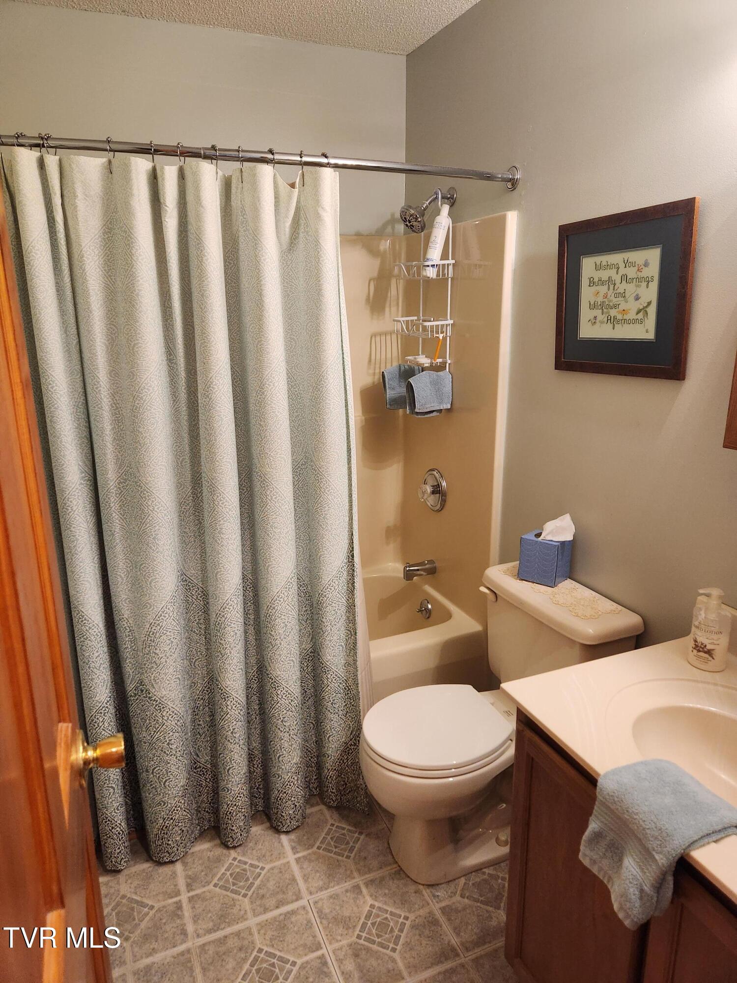 107 Buckner Drive, Roan Mountain, Tennessee image 10