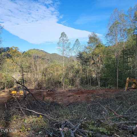 Vacant Land For Sale - Copper Creek Road<br/> Duffield, VA 24244