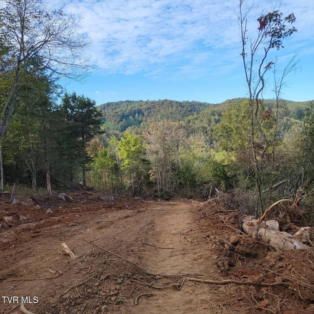 Photo of 0 Copper Creek Road, Duffield, VA 24244 (MLS # 9991577)