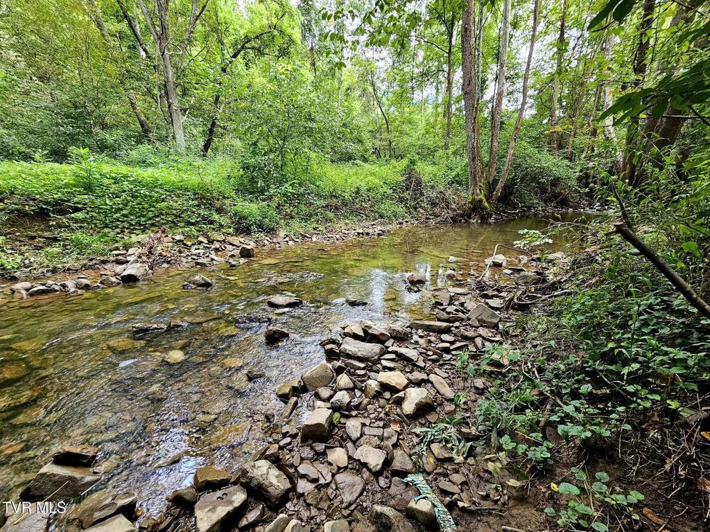 Photo of 1206 Irondale Road, Big Stone Gap, VA 24219 (MLS # 9991598)