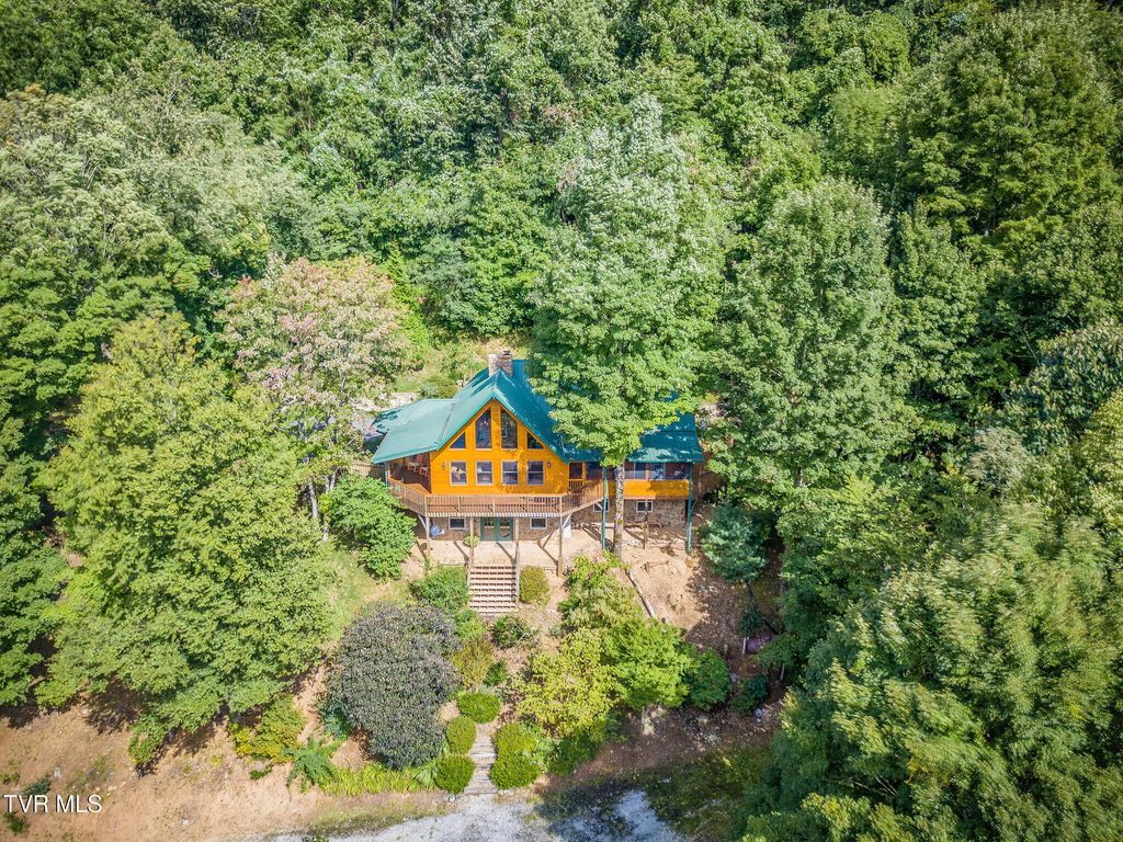 Photo of 107 Deer Run Drive, Flag Pond, TN 37657 (MLS # 9992274)