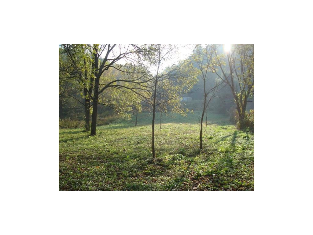 00 Roan Creek Road, Butler, Tennessee image 4