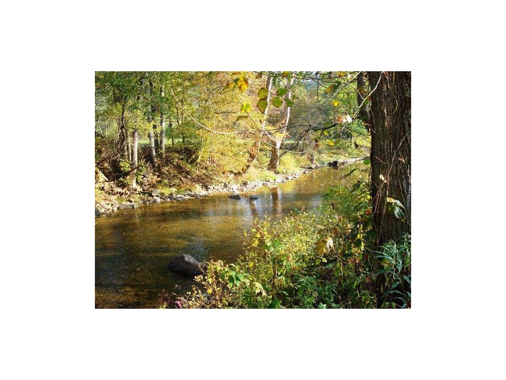 00 Roan Creek Road, Butler, Tennessee image 1