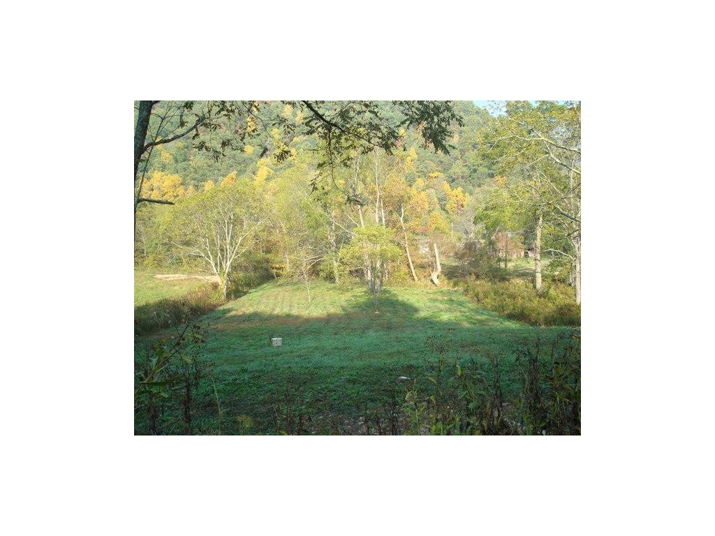 00 Roan Creek Road, Butler, Tennessee image 5