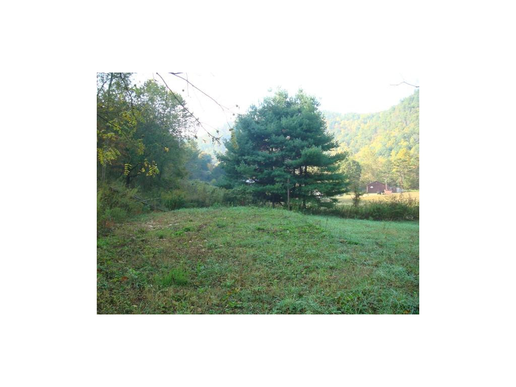 00 Roan Creek Road, Butler, Tennessee image 3