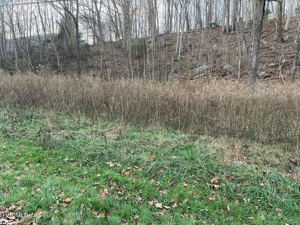 Photo of Tbd Greenbrook Circle, Unicoi, TN 37692 (MLS # 9982820)