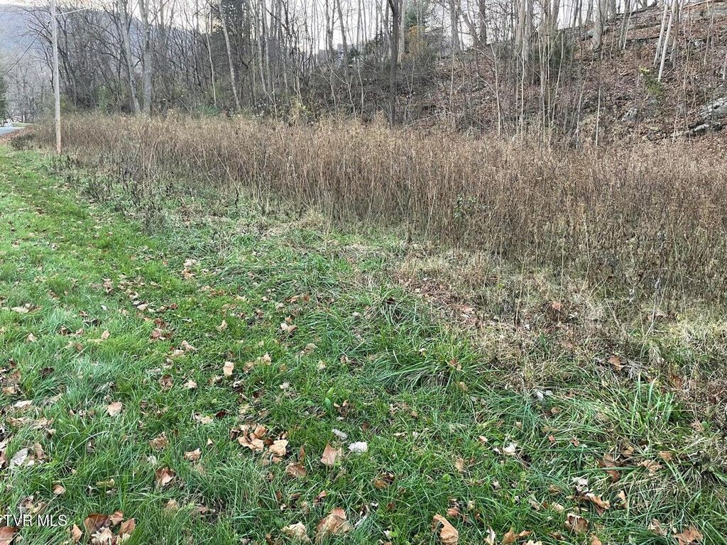 Photo of Tbd Greenbrook Circle, Unicoi, TN 37692 (MLS # 9982820)