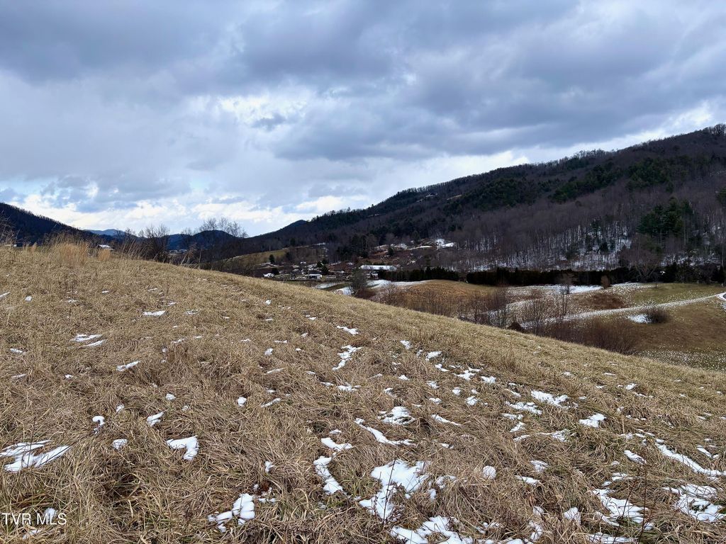 Photo of Tbd Maple Wood Drive, Butler, TN 37640 (MLS # 9984029)