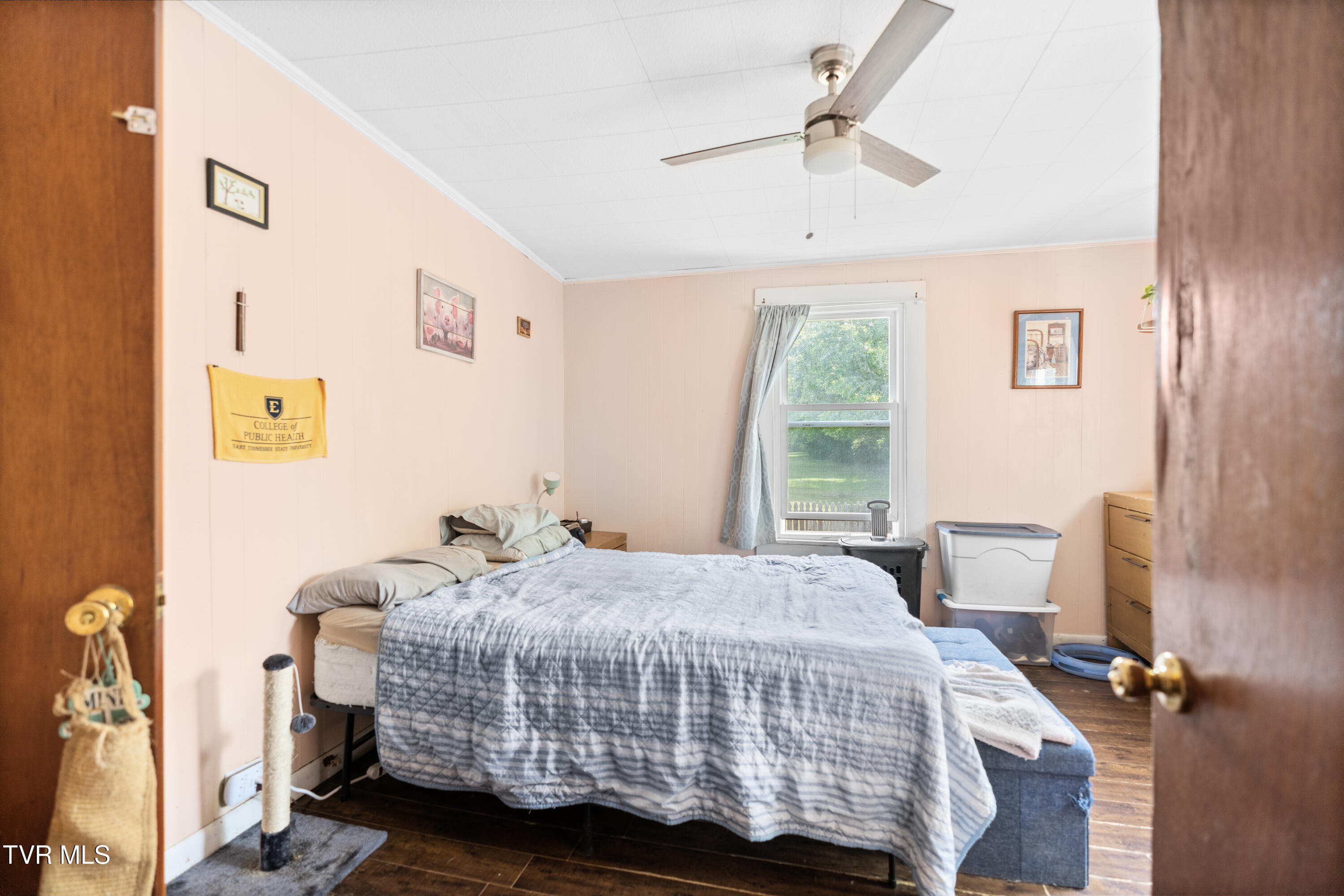 440 Telford Road, Telford, Tennessee image 14