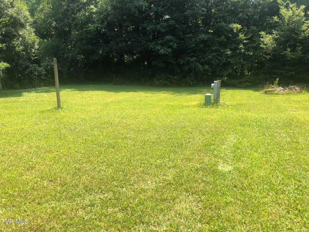 Photo of 107 Love Blevins Lane, Erwin, TN 37650 (MLS # 9995778)