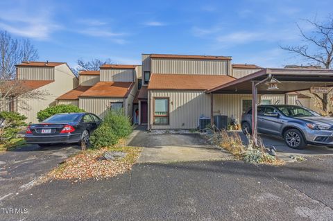 Photo of 780 Hamilton Road #A4, Blountville, TN 37617 (MLS # 9988856)