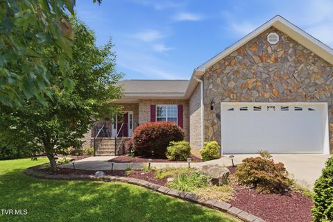 Photo of 503 Sweetgrass Lane, Jonesborough, TN 37659 (MLS # 9995547)