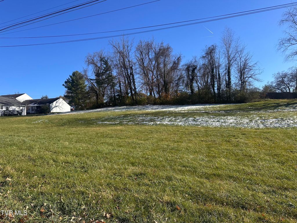 Photo of 314 Jamison Street, Abingdon, VA 24210 (MLS # 9988208)