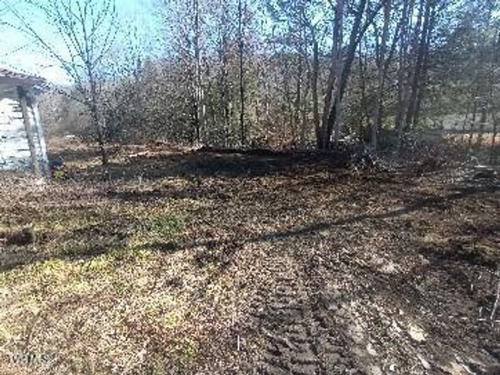 Photo of 6728 Guest River Road, Norton, VA 24273 (MLS # 9985060)