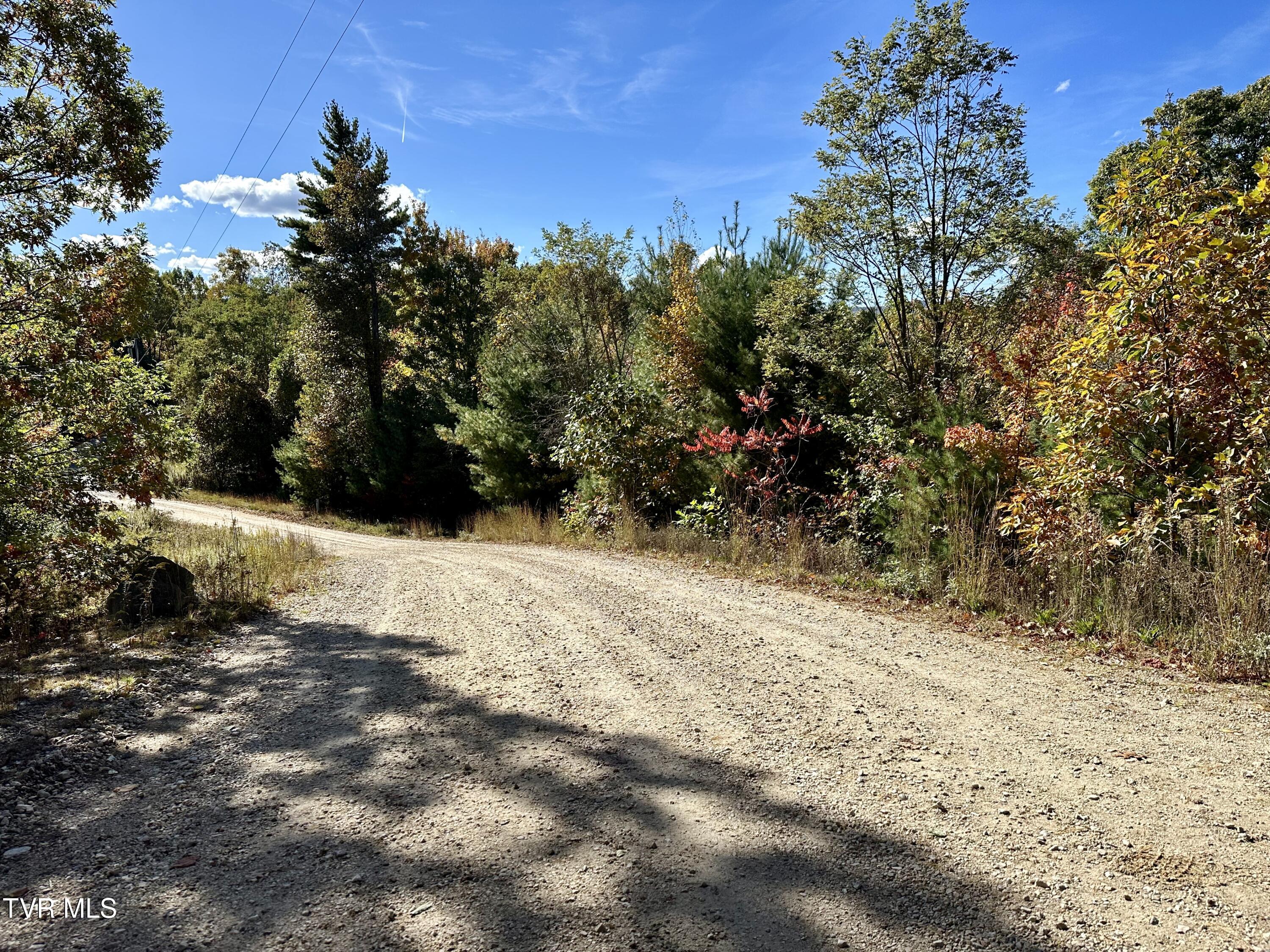 Lot 32 Vista Road, Butler, Tennessee image 5