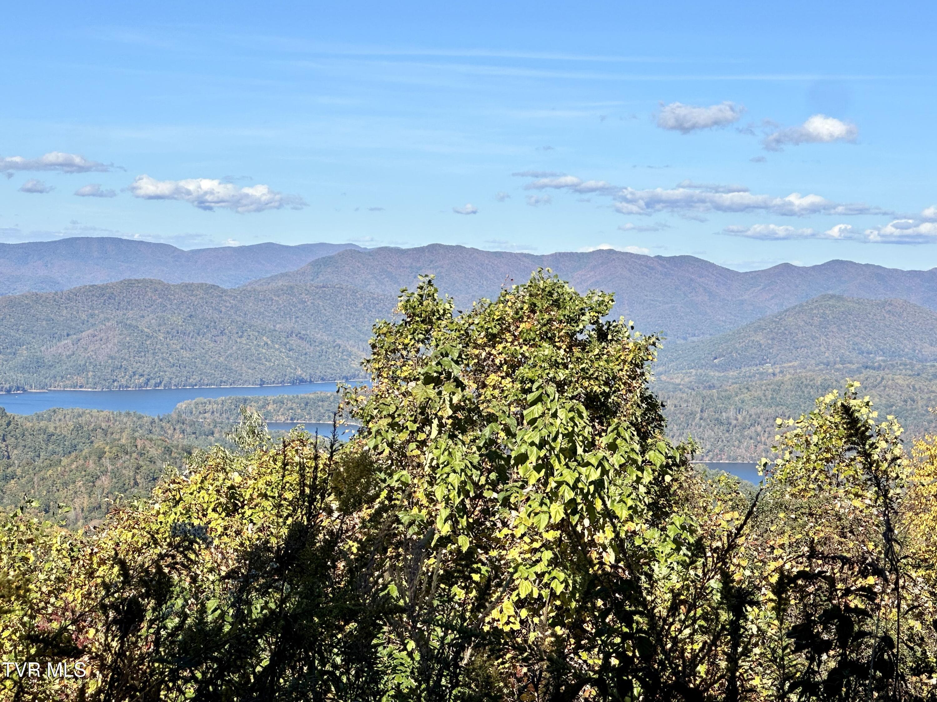 Lot 32 Vista Road, Butler, Tennessee image 3