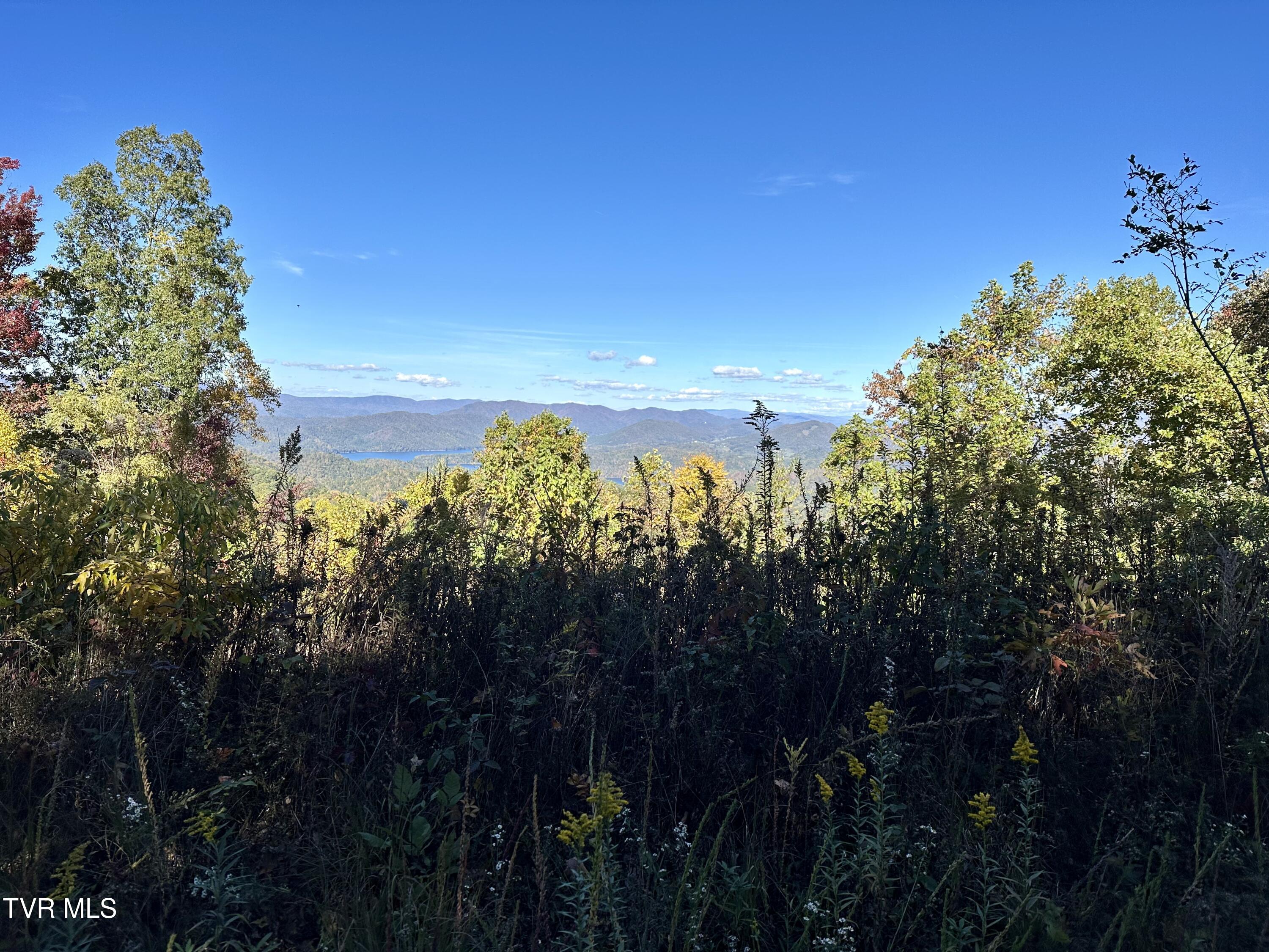 Lot 32 Vista Road, Butler, Tennessee image 4