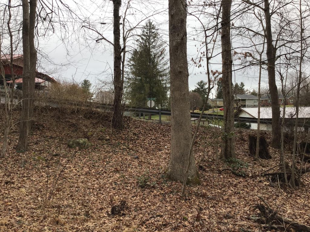 Photo of Tbd Hall Avenue Sw Avenue, Wise, VA 24293 (MLS # 9917025)