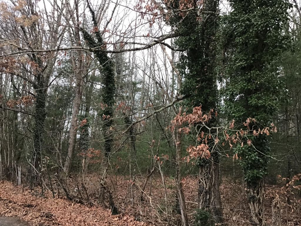 Photo of Tbd Hall Avenue Sw Avenue, Wise, VA 24293 (MLS # 9917025)