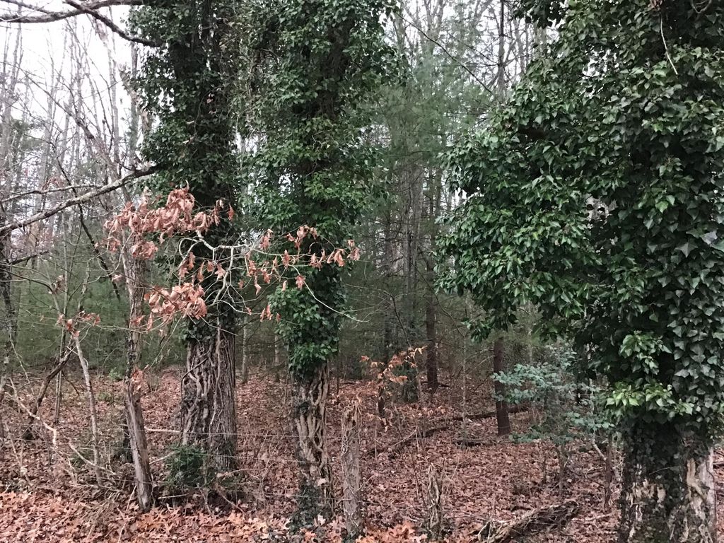 Photo of Tbd Hall Avenue Sw Avenue, Wise, VA 24293 (MLS # 9917025)