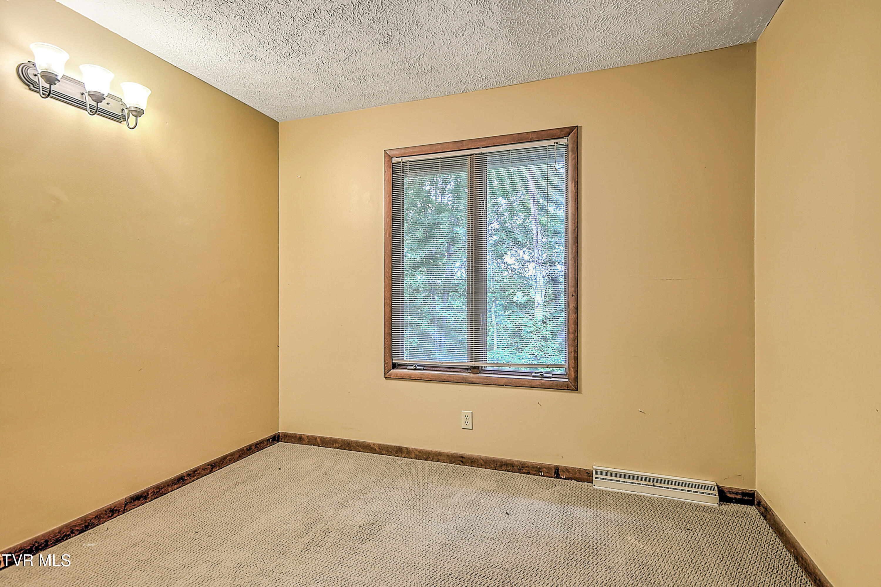 121 Lone Oak Drive, Kingsport, Tennessee image 29