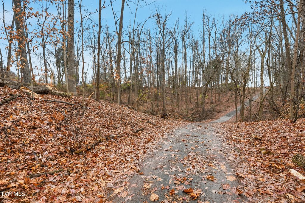 Photo of Tbd Bayhill Dr Drive, Piney Flats, TN 37686 (MLS # 9990418)