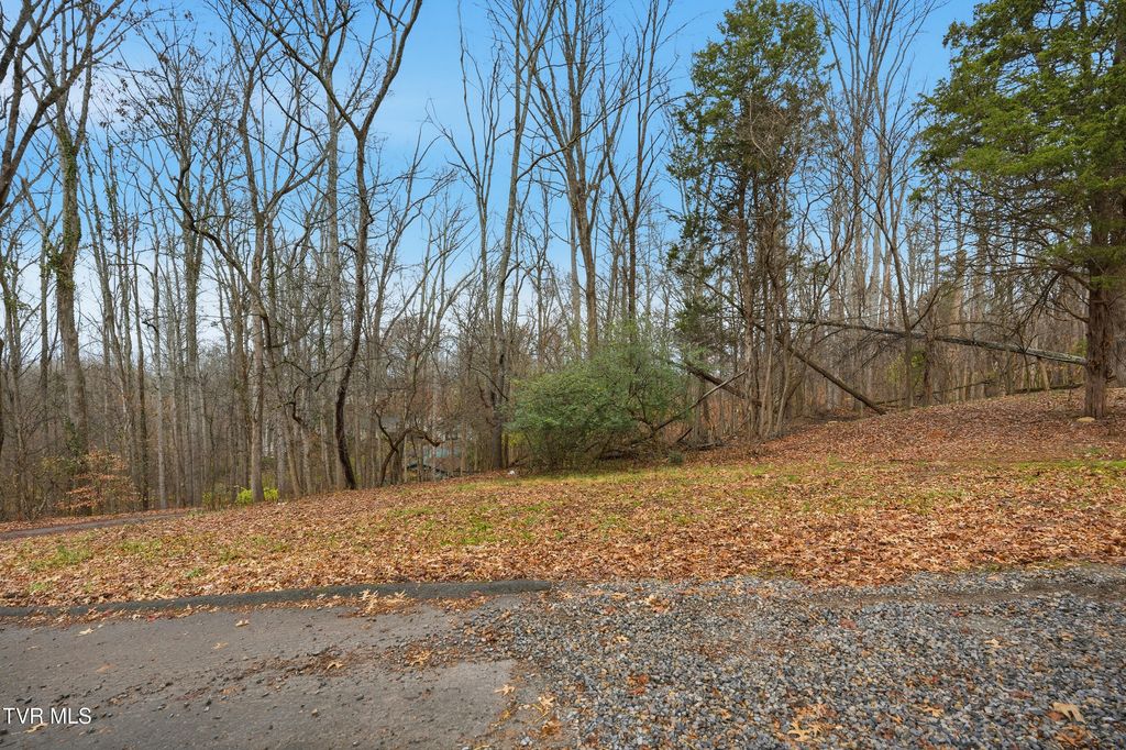 Photo of Tbd Bayhill Dr Drive, Piney Flats, TN 37686 (MLS # 9990418)