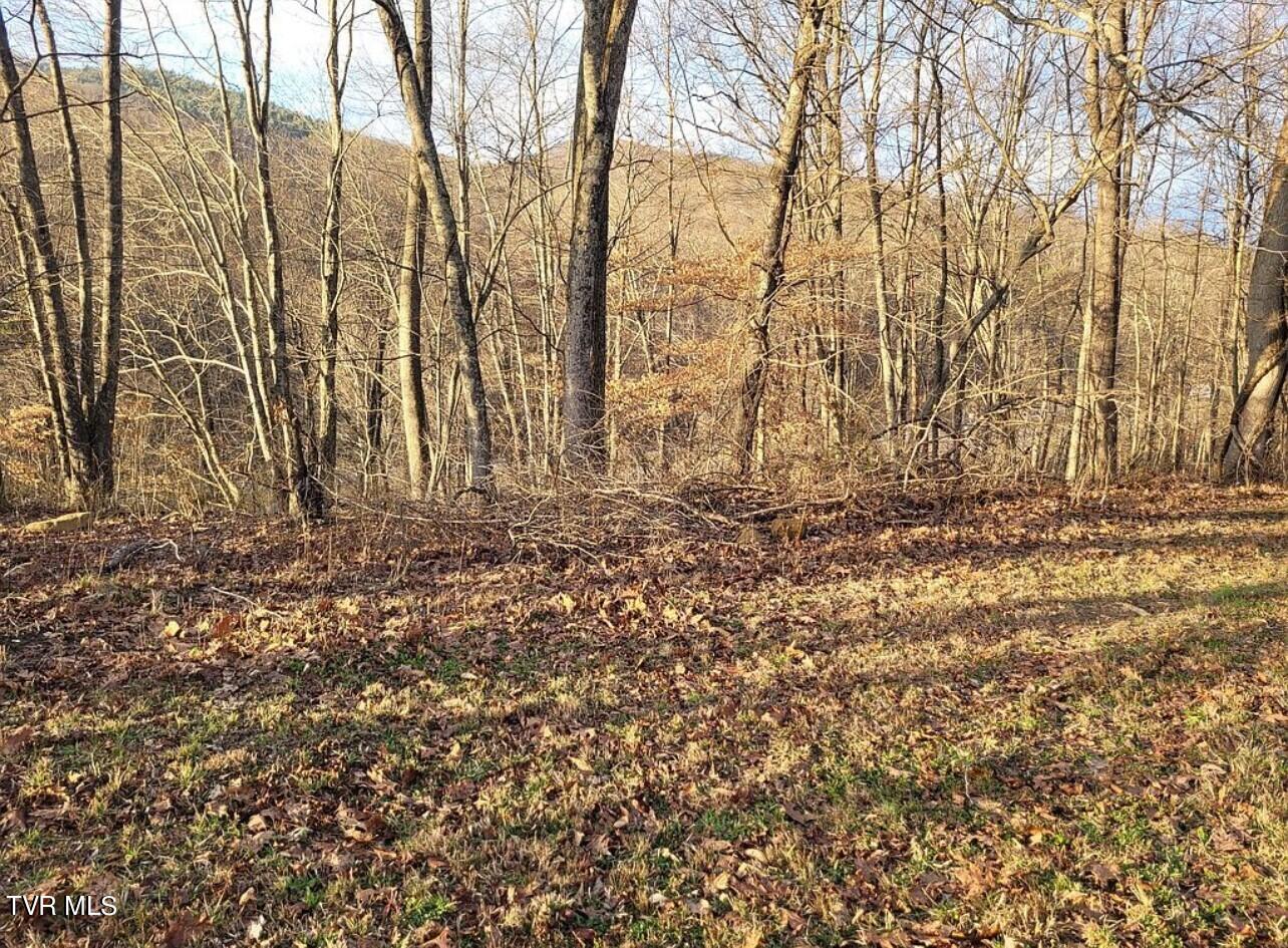 Tbd Persimmon Road, Big Stone Gap, Virginia image 5