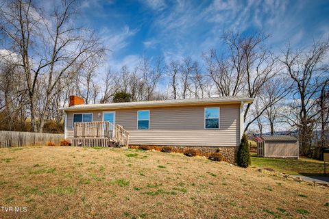 Photo of 153 Pinnacle Drive, Elizabethton, TN 37643 (MLS # 9992036)