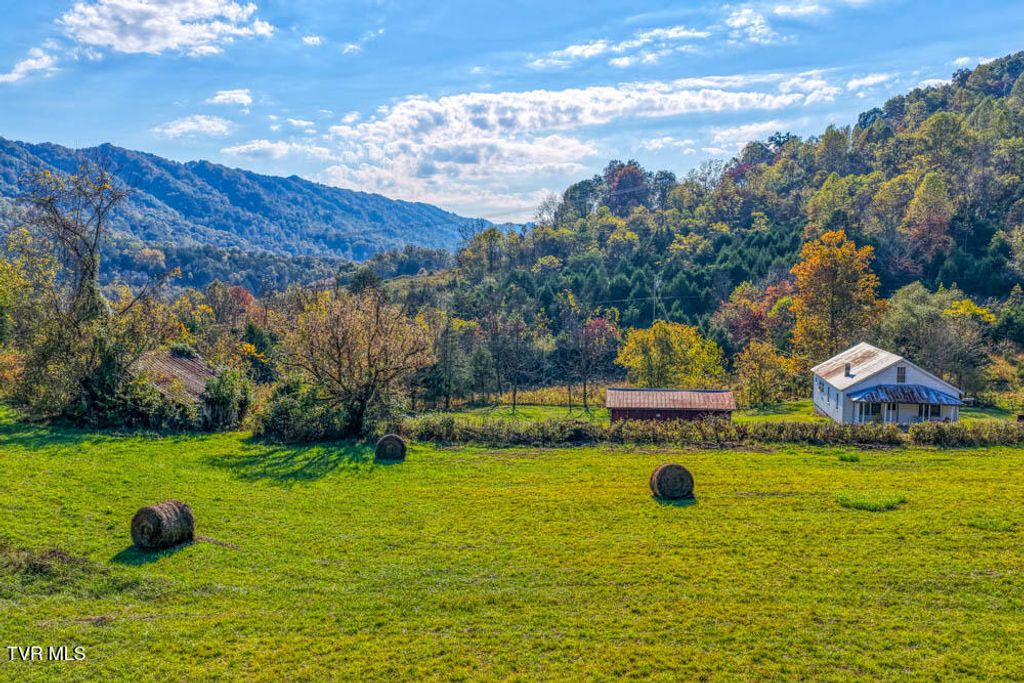 Photo of 275 Wake Forest Road, Eidson, TN 37731 (MLS # 9987240)