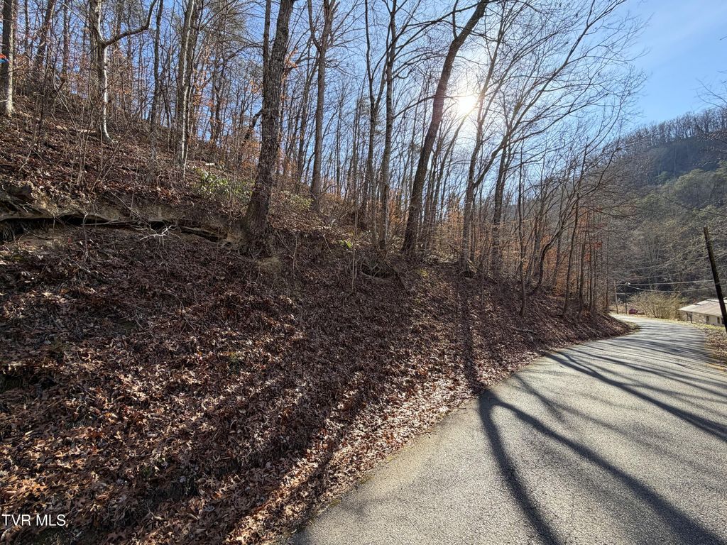 Photo of 597 Avondale Hollow Road, Rutledge, TN 37861 (MLS # 9989816)