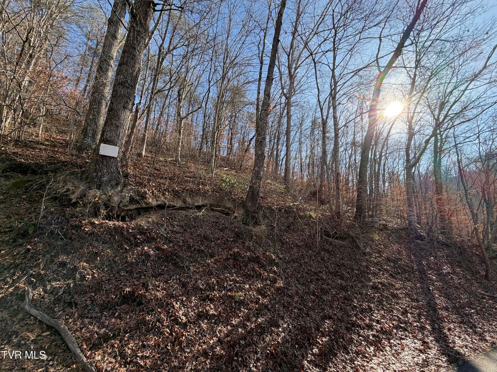 Photo of 597 Avondale Hollow Road, Rutledge, TN 37861 (MLS # 9989816)