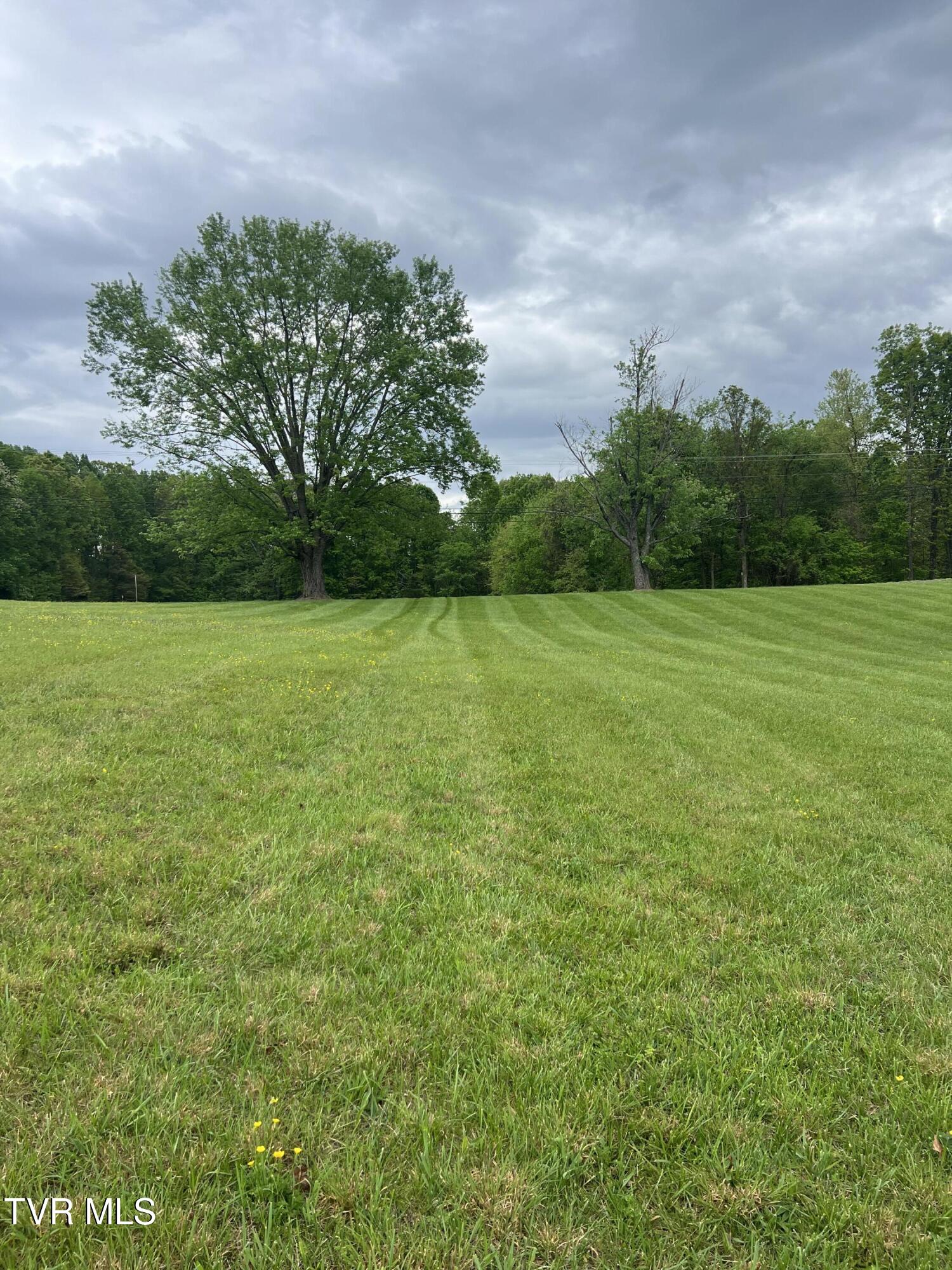 Newport Highway, Greeneville, Tennessee image 6