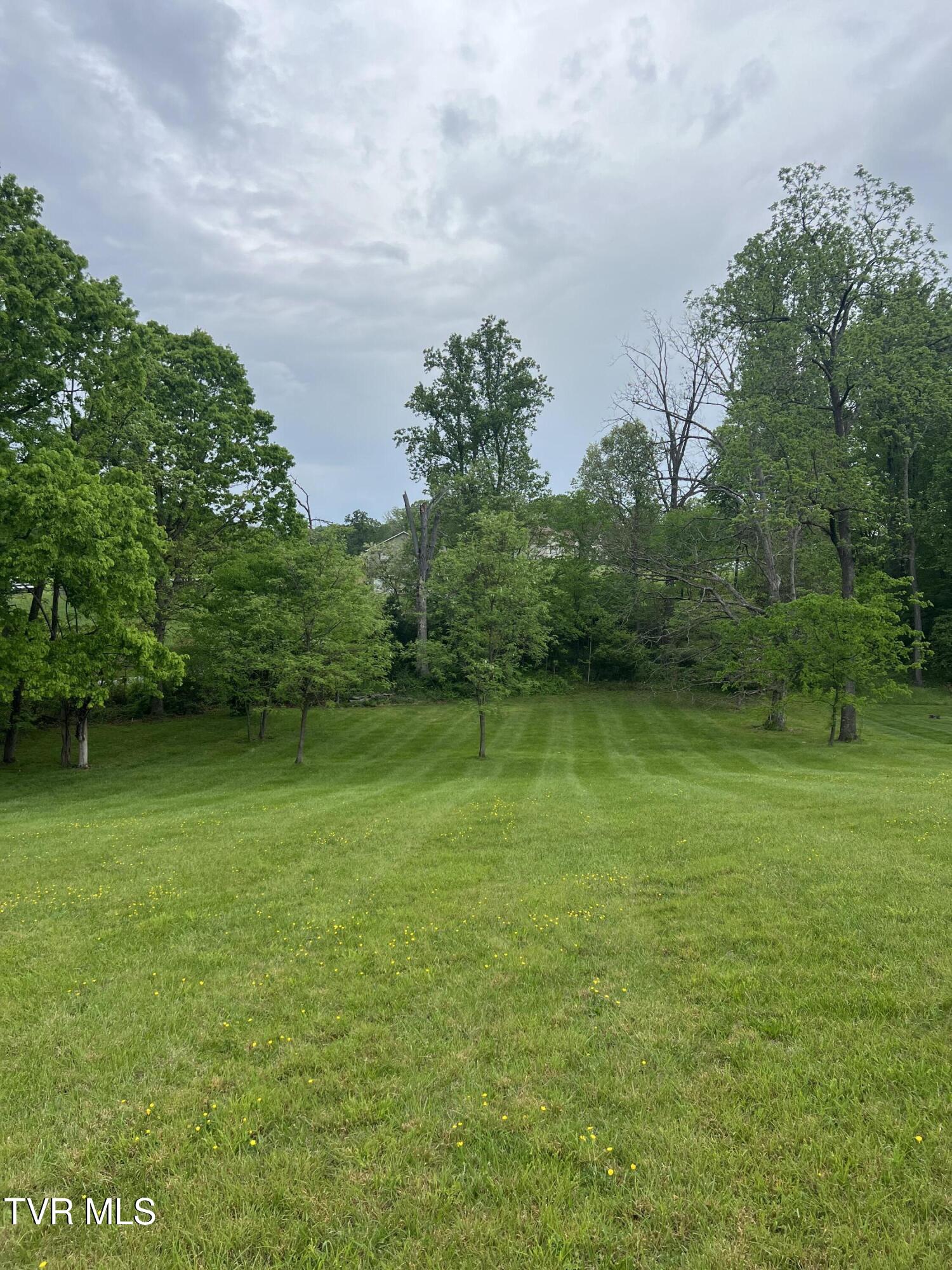 Newport Highway, Greeneville, Tennessee image 7
